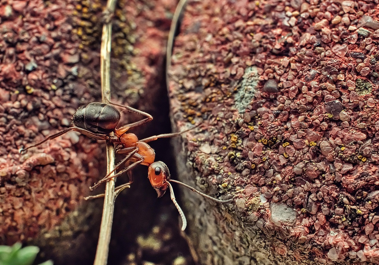 交通事故後遺障害認定が進めない理由とは？