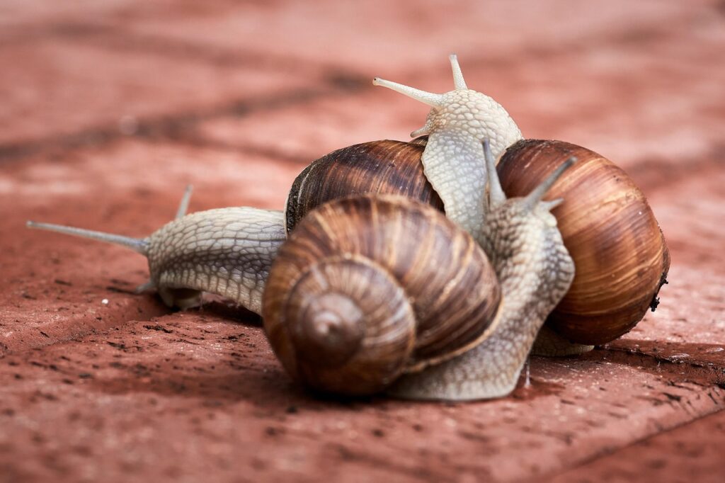 交通事故の追突で100対0になる例外は何ですか？