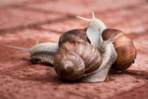 交通事故の追突で100対0になる例外は何ですか？